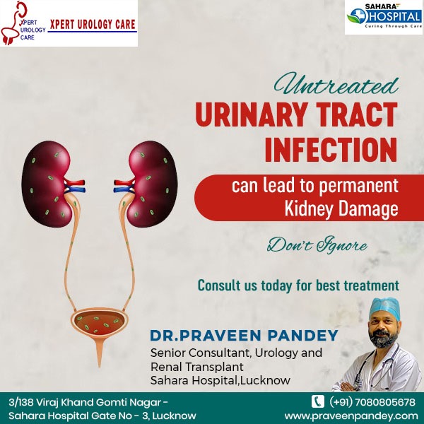 #UTI #utiproblem #urineproblem #holep #roboticsurgery #bladderproblems #Laproscopic#kidneytransplant #kidney #roboticsurgery Dr. Praveen Pandey Senior Consultant, Urologist (Robotic & Kidney Transplant Surgeon) Xpert Urology Care, Opp SAHARA HOSPITAL, Gate No. 3