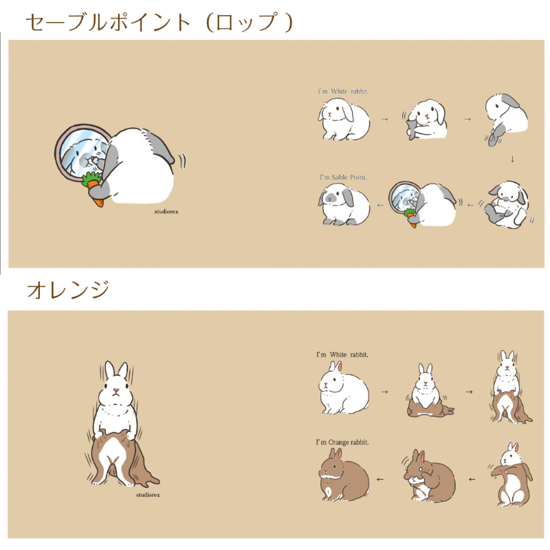 minnecom's tweet photo. 變身兔子的馬克杯
描繪了從白兔變身為荷蘭兔、喜瑪拉雅兔等的過程🐰