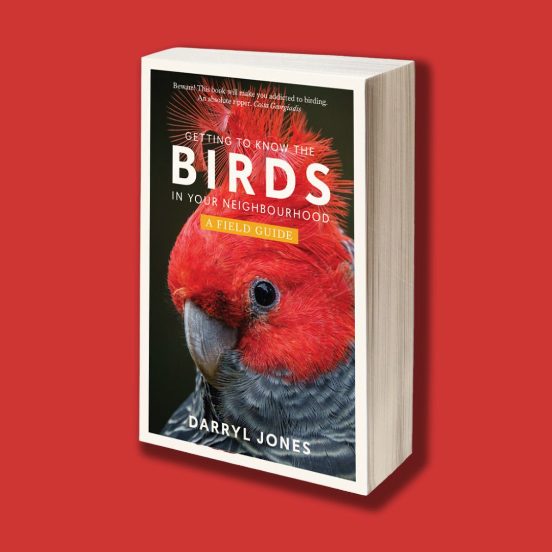 youtu.be/_EMXm-NRbMA