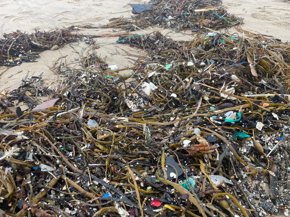 What a mess. What have we done. #oceanplastic #marinedebris