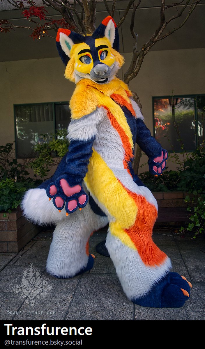 Transfurence / Théa tweet media