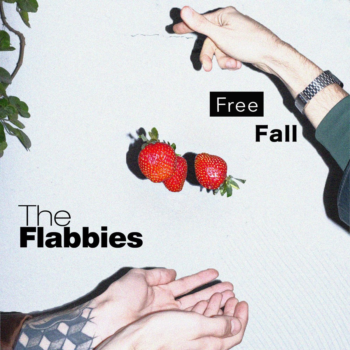 theflabbies's tweet photo. Yeni şarkımız Free Fall tüm dijital platformlarda🍓 https://t.co/JKBHtmIffp