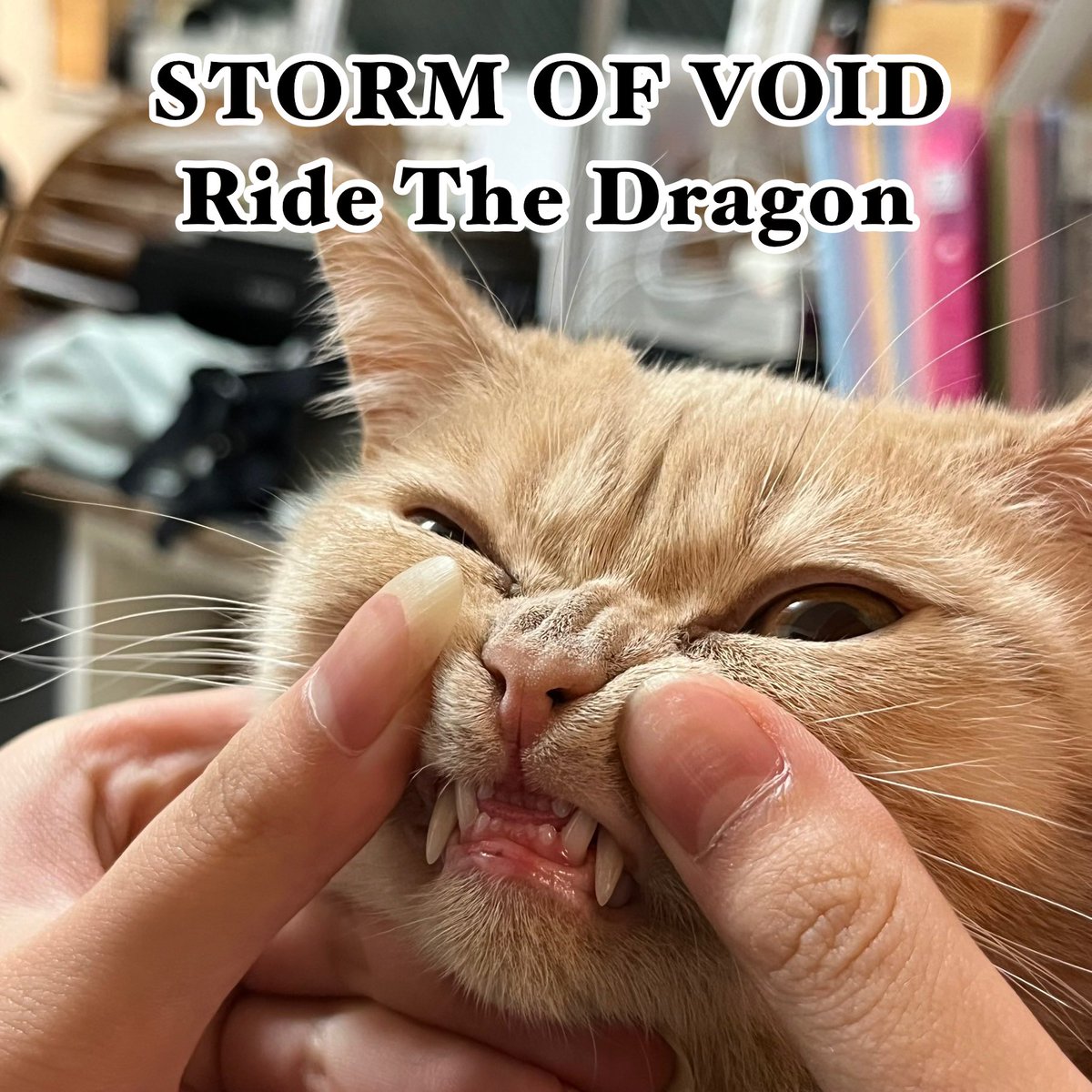 発売開始しましたー！
よろしくお願いします！
stormofvoid.bandcamp.com/album/ride-the…