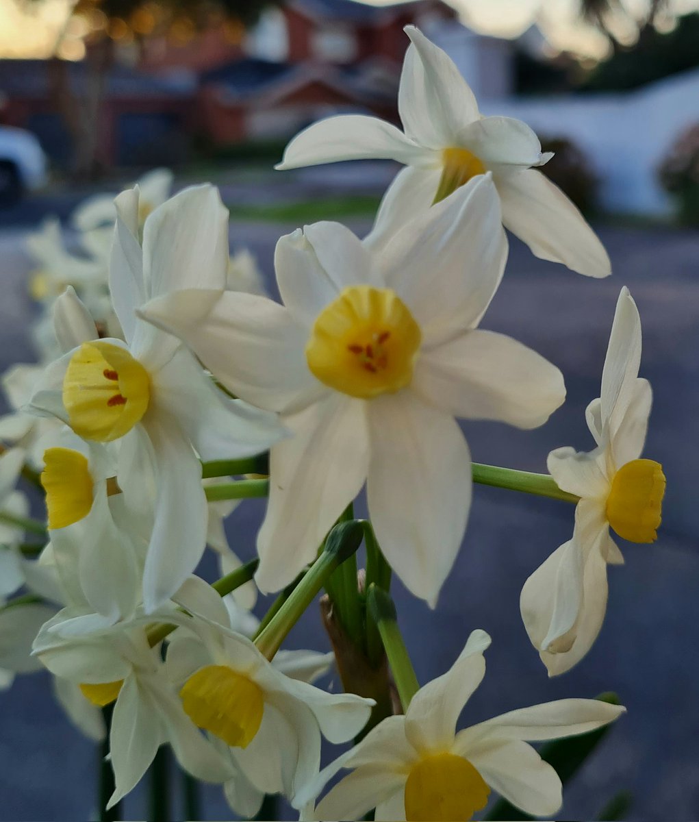 Spring is coming.