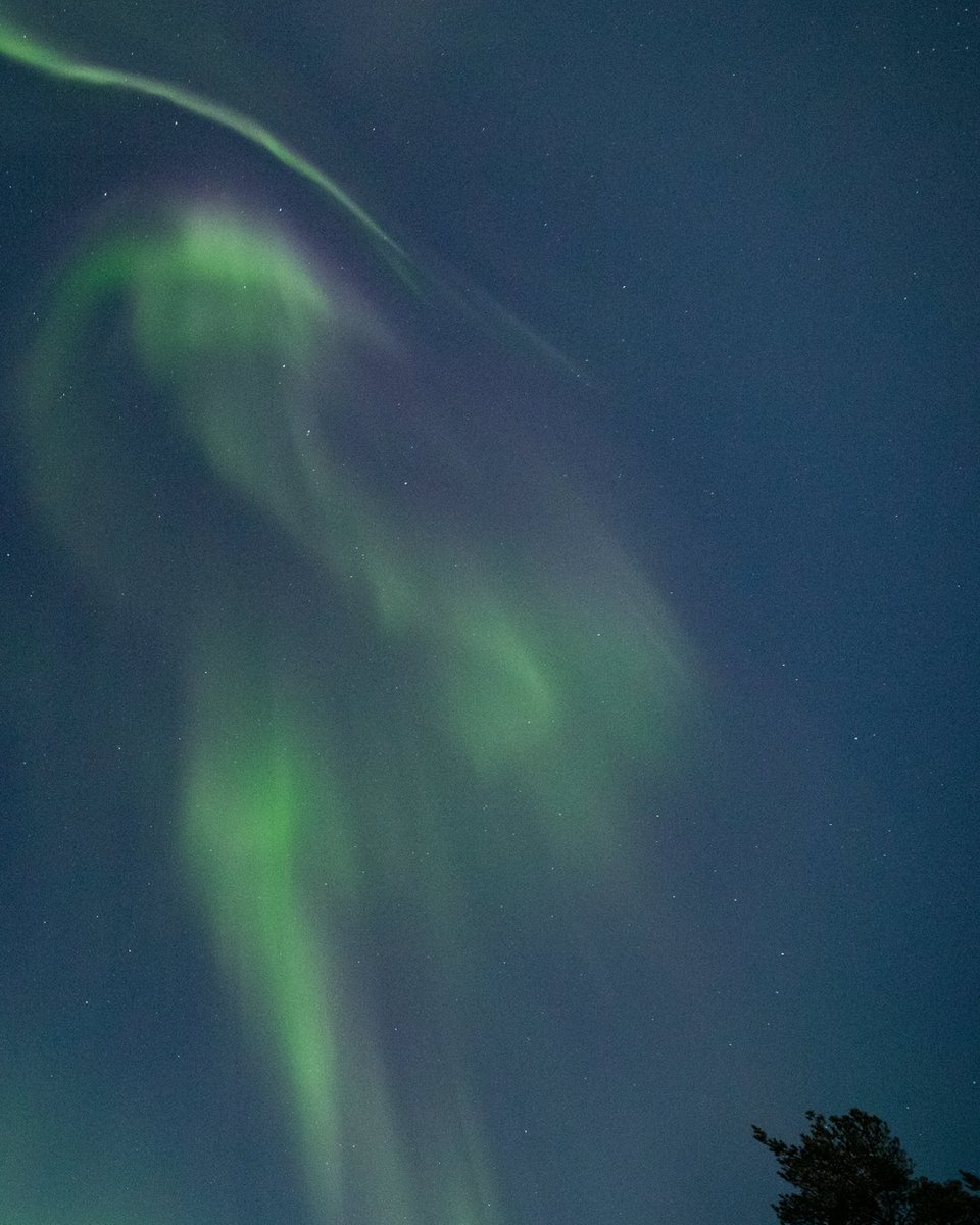 The wait is almost over - the lights will be back by the end of this month! ✨

#arctictreehousehotel #nature #luxuryhotels #arcticcircle #naturetravel #visitfinland #lapland #aurorasborealis #northernlights #visitrovaniemi