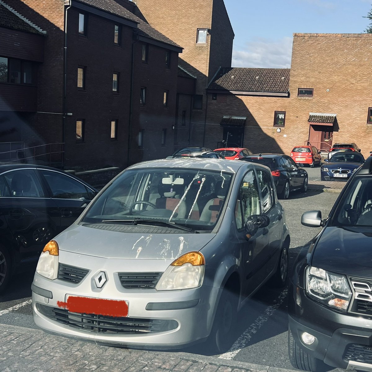 JayScally's tweet image. What are they feeding the seagulls in #Dunfermline ?