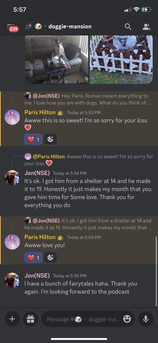 @ParisHilton is the most gracious and sincere person I have ever met. It was a blast to be a part of the ParisWorld event in her discord. She took time out of her vacation to say hi to everyone and even immediately showed love to my Doggo in the dog section. She’s 1 of a kind