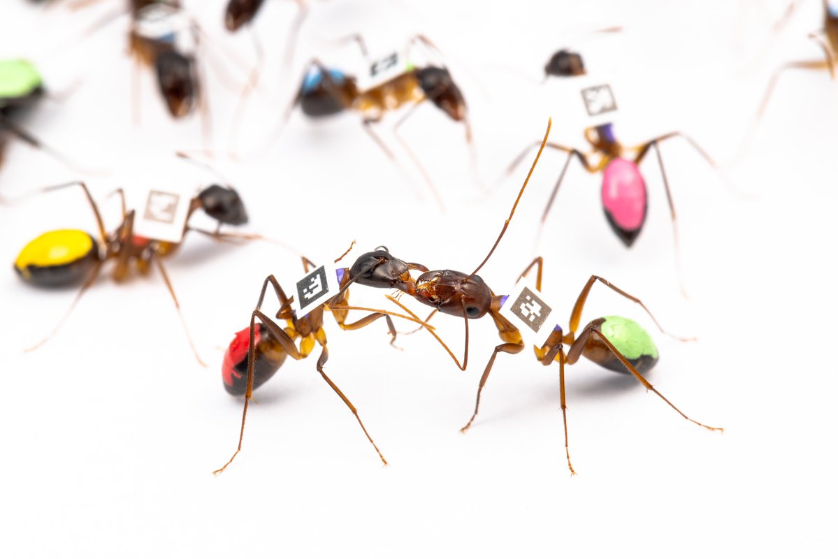 Faculté de biologie et de médecine (inactif) tweet media