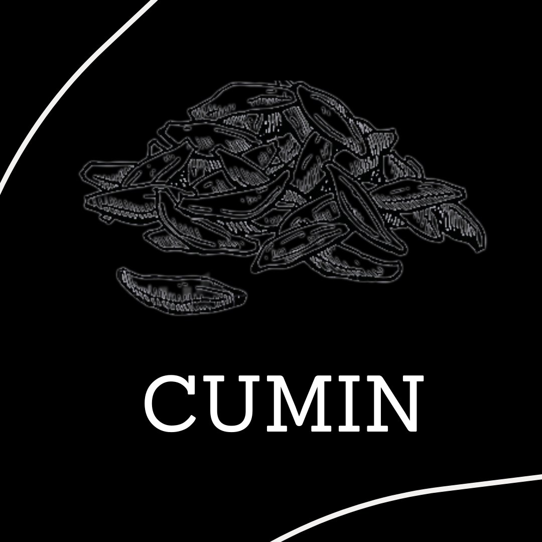 👉 Did you know that cumin seeds, the tiny culinary powerhouses, have an extraordinary history that dates back thousands of years? 🕰️ These aromatic seeds have played an integral role in cuisines across the globe and boast numerous health benefits too! 
.
#SpiceKlub