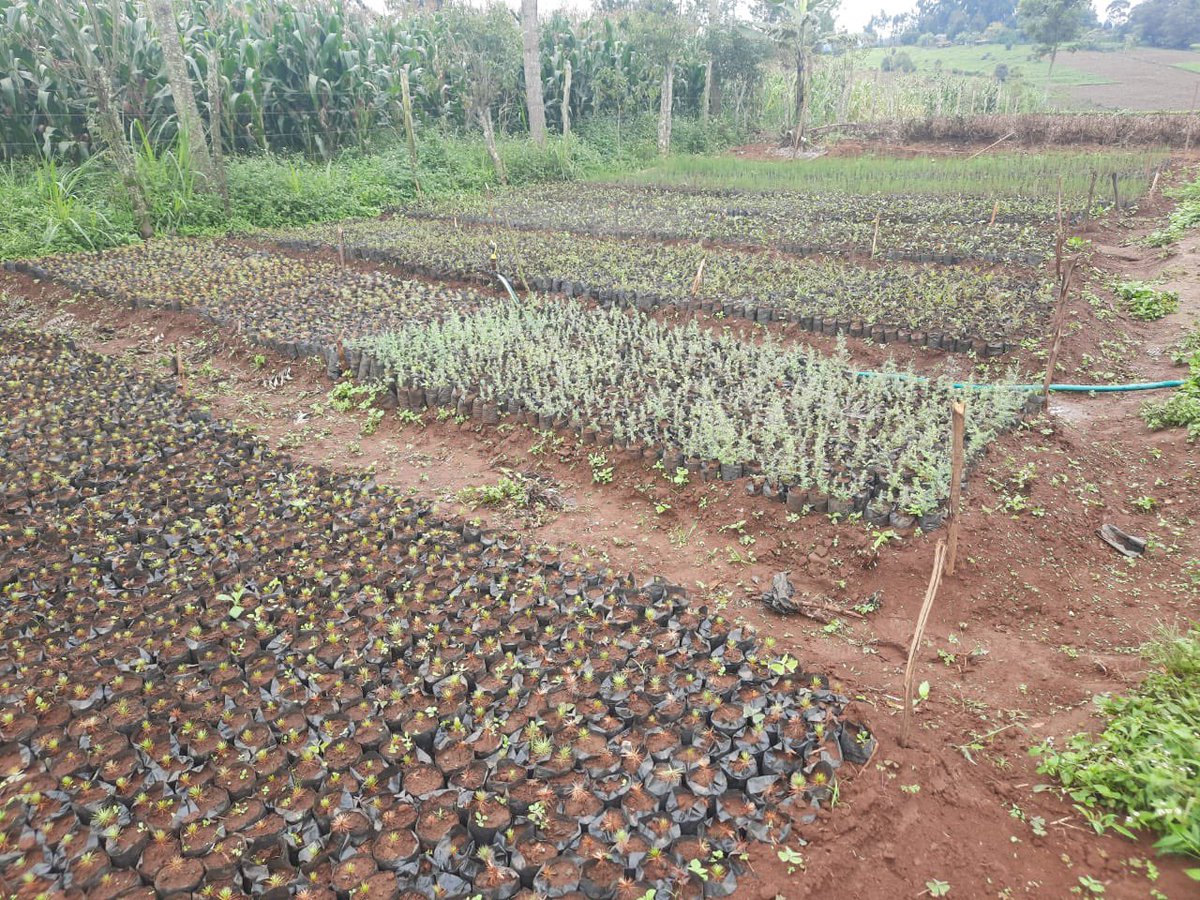 HomeToLife1's tweet image. Climate action begins with me and you 

#ClimateActionNow