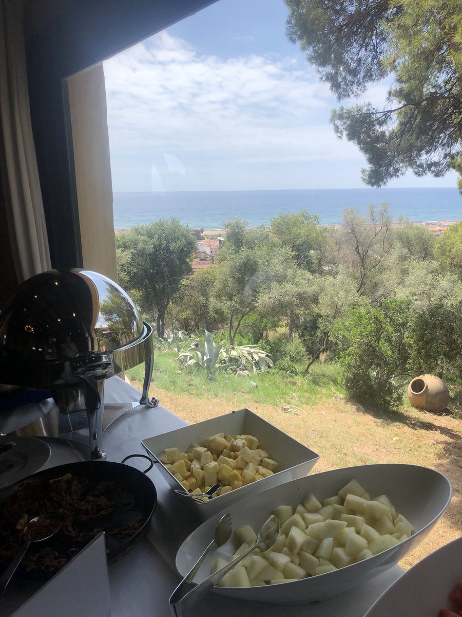 Happy to have been able to share my PhD work at the Gordon Research Council Wnt meeting! 

A fantastic time meeting new faces and swimming at the beach, I will be back.