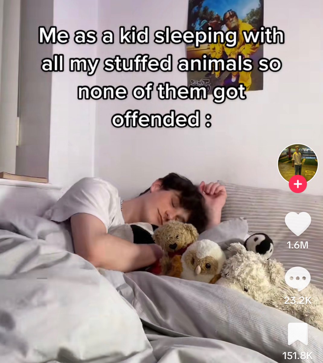 Wild Posts tweet media