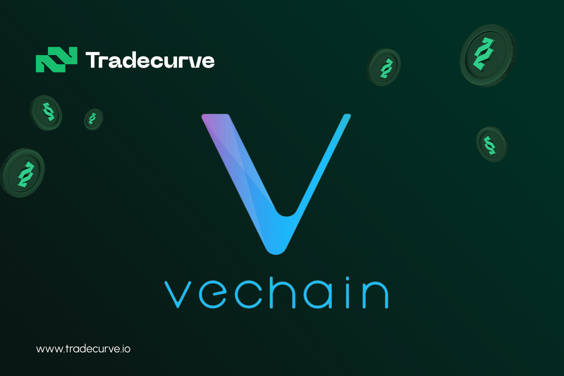 TheCoinriseCom's tweet photo. Choosing between #Elrond, #VeChain, or #Tradecurve for 100x gains? While $EGLD & $VET navigate their unique challenges, $TCRV @Tradecurveapp is causing a stir with a presale boom. Watch this space for potential growth! #EGLD #VET #TCRV #CryptoInvestments
https://t.co/dkMd0yuP5A https://t.co/ZEHOCG0Tvc
