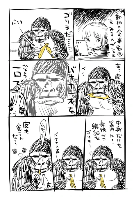 ゴリラがバナナを食う動画