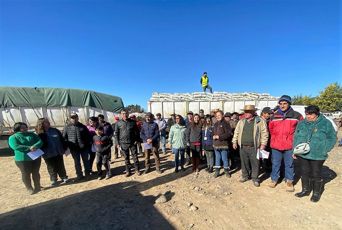 MinagriMaule's tweet photo. ✅Este jueves en la zona costera de Curicó, en #Hualañé con su alcaldesa Carolina Muñoz y Seremi @MinagriMaule se entregaron 602 sacos de cubos de alfalfa para alimentación animal de 641 cabezas de ganado, beneficiando a 49 agricultores NO INDAP 👩🏻‍🌾Inversión de  $6.855.576 https://t.co/yePaoTKWMW