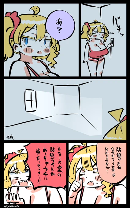 夜が暗くないフロリダちゃん日記です。