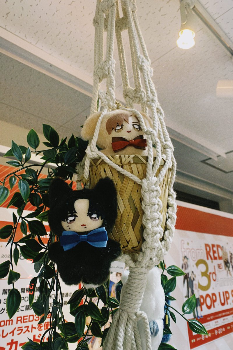 2569musica's tweet image. fromRED、創刊3周年おめでとうございます🥳
ちみけもたち、可愛すぎた🤦🏻‍♀️
全員おうちに連れて帰りたい🧸
ディスプレイが上の方にもあるので、上も要チェックです✔️
初日で混雑していたので、またゆっくり見に来ます😌
 #fromRED3rdAnniv