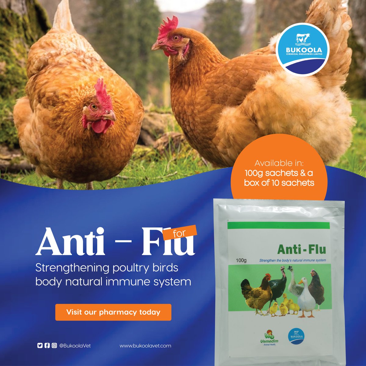 Bukoolavet's tweet photo. Don't let flu get your poultry birds down. Keep your poultry birds healthy and productive with Anti Flu. Find it at our pharmacy today.
#bukoolavet #vetpharmacy #AntiFlu https://t.co/3FkdZWOOjy