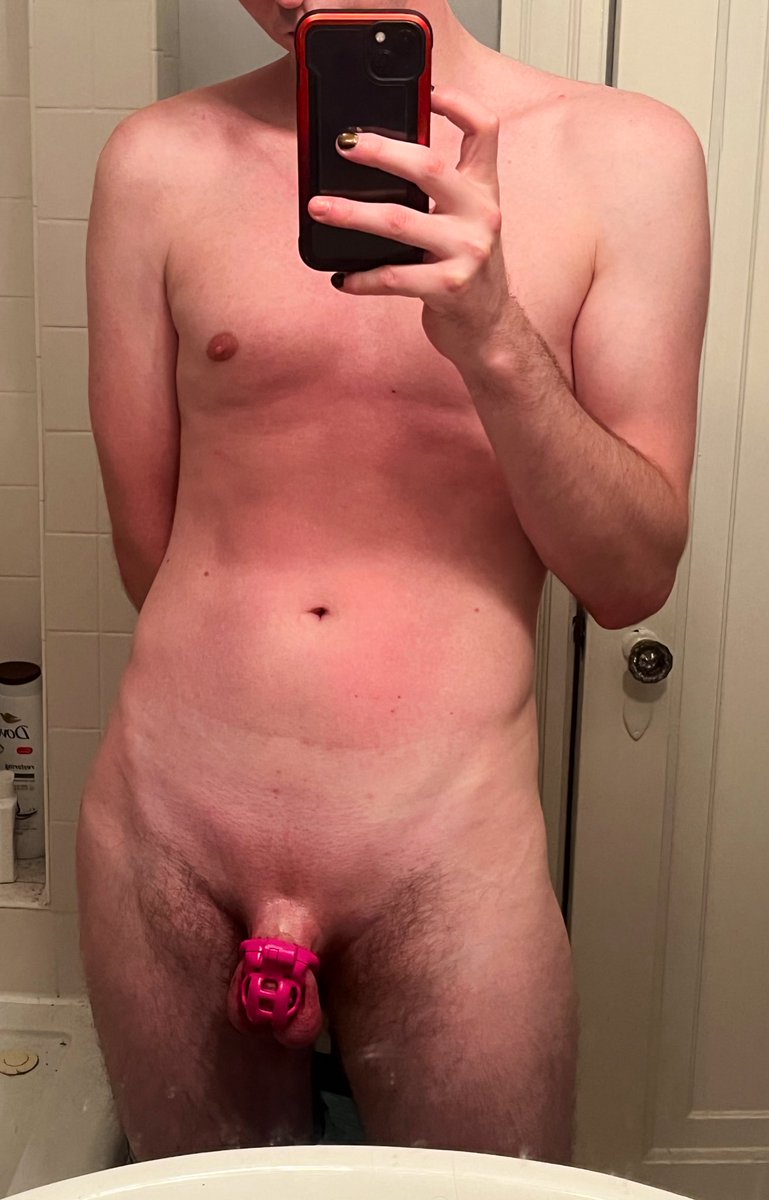 paddedwolfram's tweet photo. So now that @CouragePup has moved away how long do I have to wear this before I become the official pink puppy of Boston https://t.co/OoNa6hLKEI