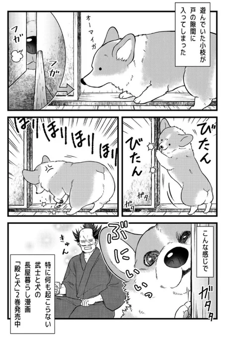 こちらは、『#殿と犬』②巻発売時の 西田さん描き下ろしマンガです。  何か起こっても 何も起こらなくても 犬といるだけで ♡きゅん♡が発生する毎日🐶🐯  お試し読みは👇 