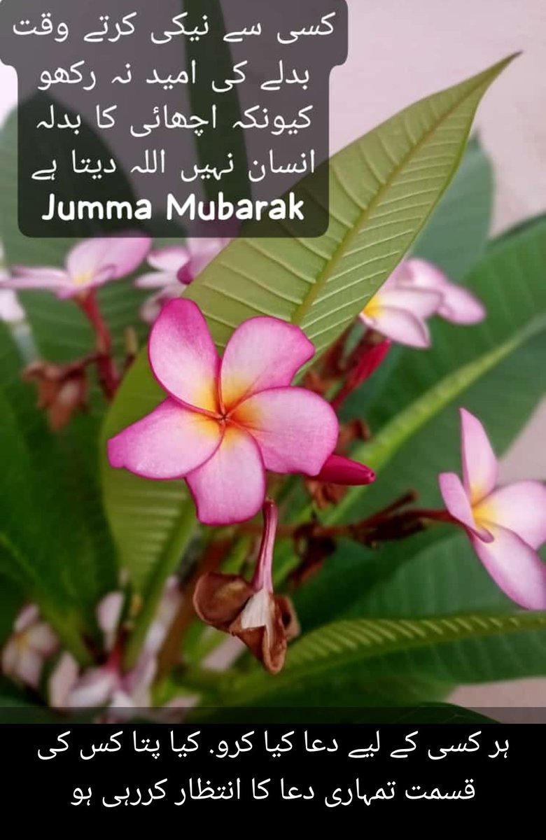 #JummahMubarak #allahlove
#Peace #VirtualReality #Believe #prayer #PrayForPeace
