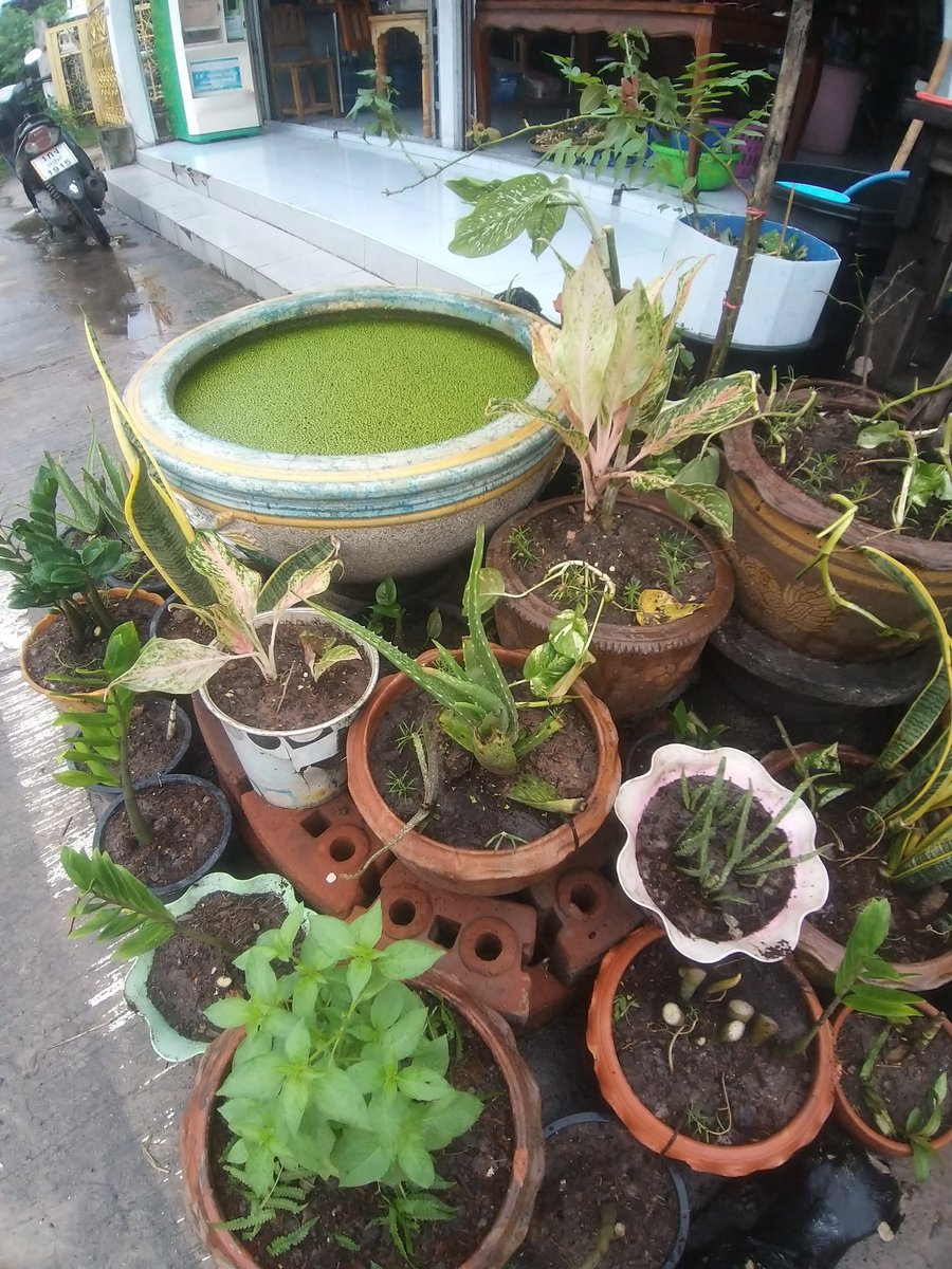 เริ่มชีวิตใหม่ในที่เดิม. สวยๆกับลูกเมียและแม่จร้า