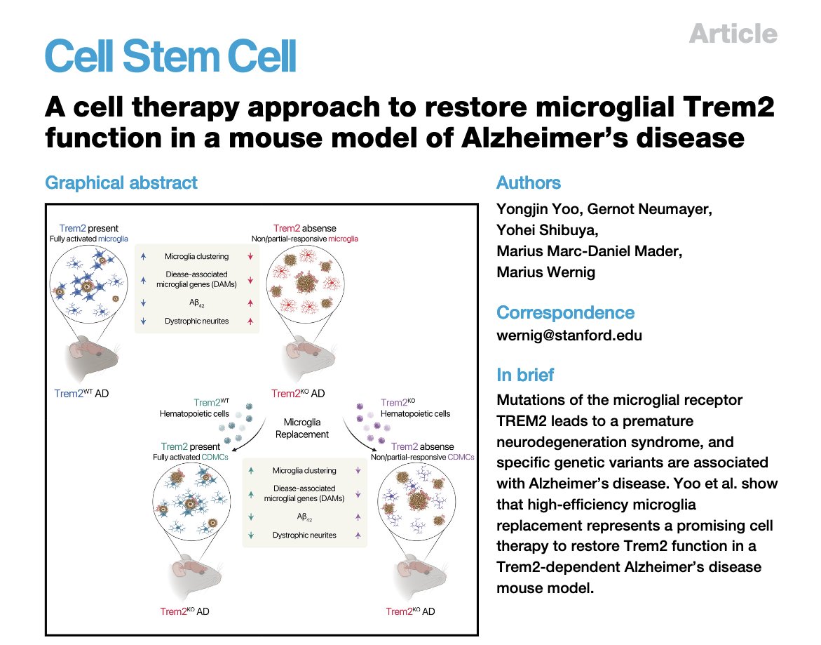 Check out our new exciting @CellStemCell paper that shows microglia replacement can restore Trem2 function in a mouse AD model. Congratulations Yongjin @yongjinyoo and the other contributors from the lab! cell.com/cell-stem-cell…
