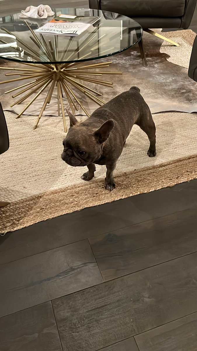 TylerJaymesWatson tweet media