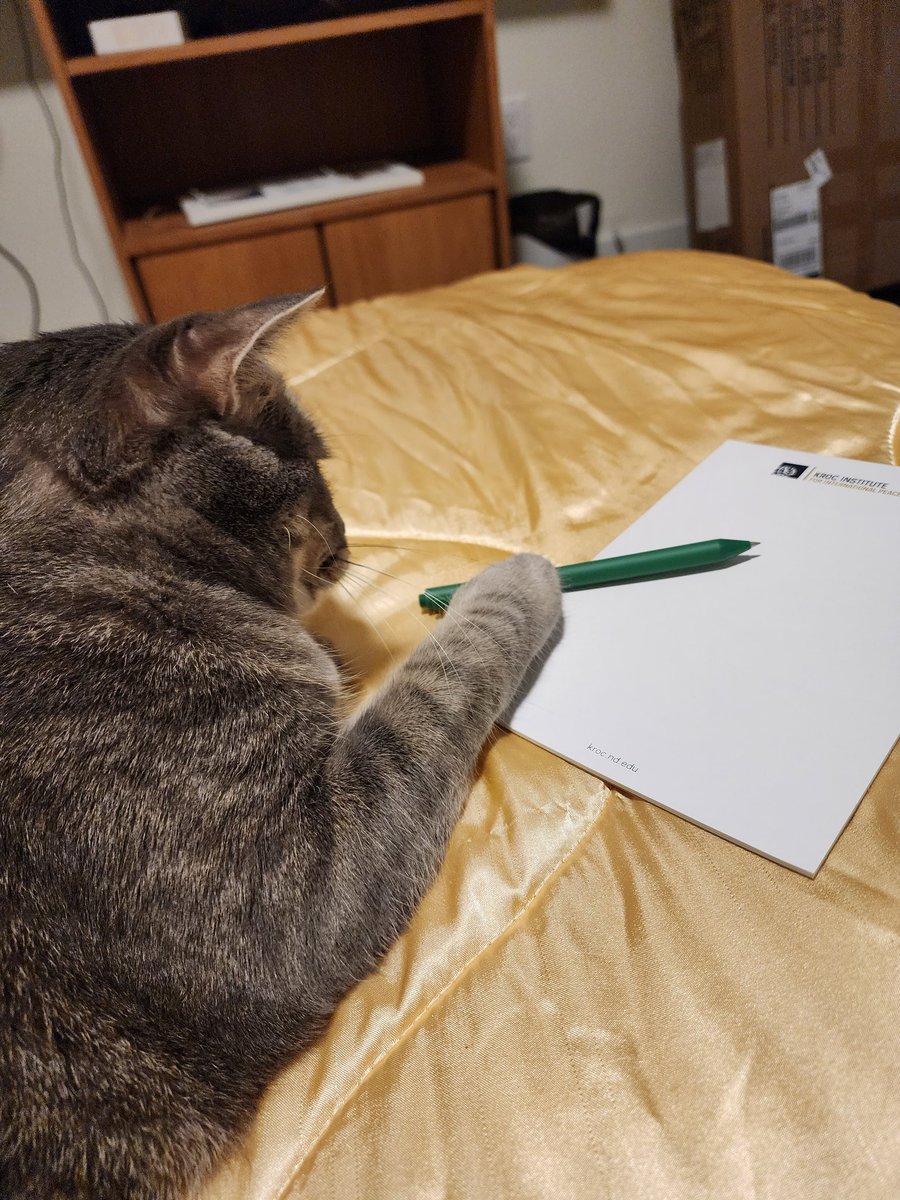 MahameruLee's tweet photo. Uranos helps me taking notes for my syllabi 🐈‍⬛️🖊📖📝 @FaisalWillWrite https://t.co/5c2pCcLbBn
