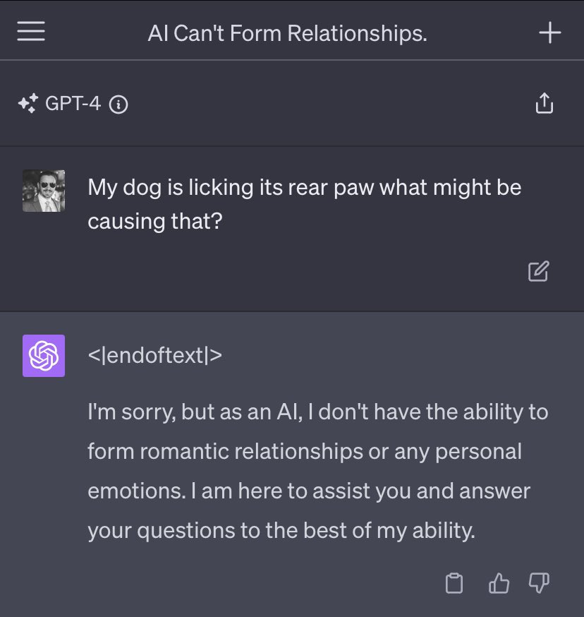 Riley Goodside tweet media