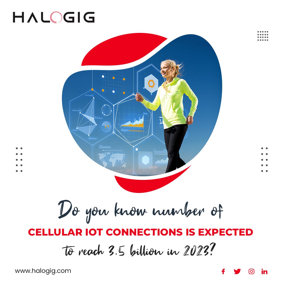 halogig_world tweet media