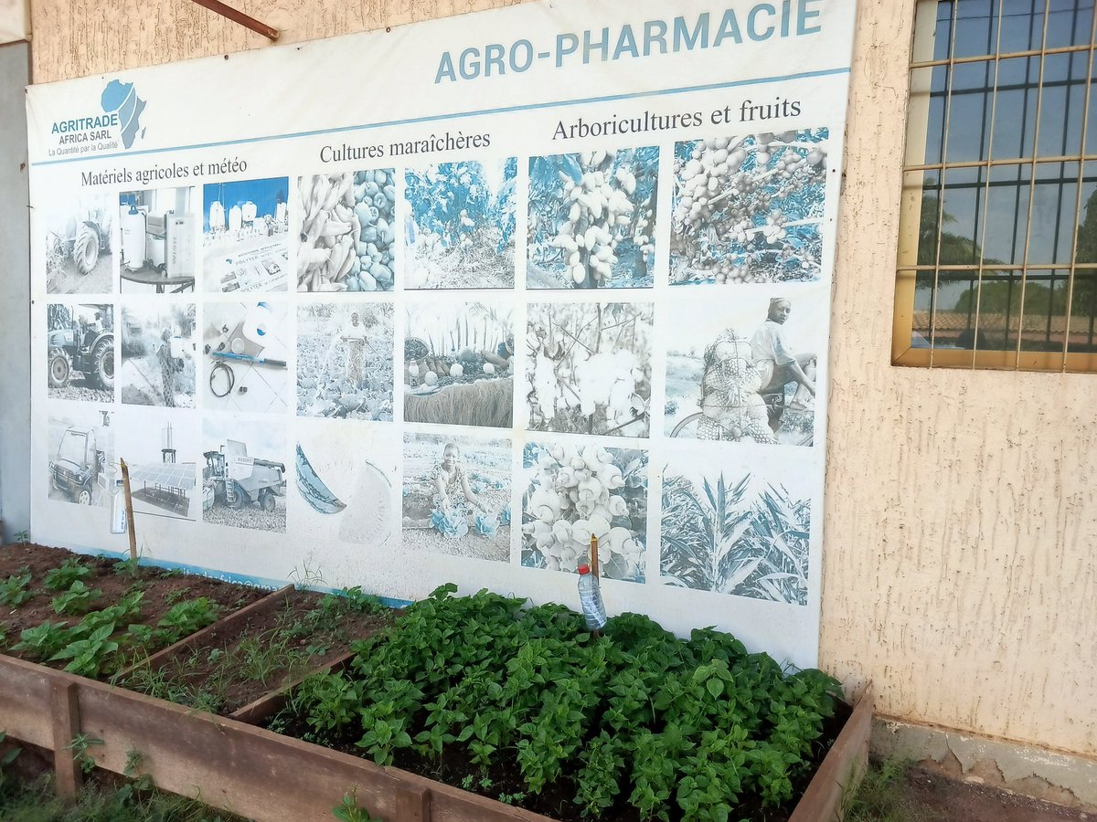 elhadjham's tweet photo. choix opérés répondent aux attentes et sont conformes à la vision de développement du pays. Jeunesse togolaise, l'#agriculture est l'un des secteurs porteurs et pourvoyeurs d'emploi. #AGRITRADE #AFRICA, forme les jeunes aux métiers de l'agriculture.  #MAEDR
#tgwittos
#Denyigban https://t.co/LDgt0vRrm2