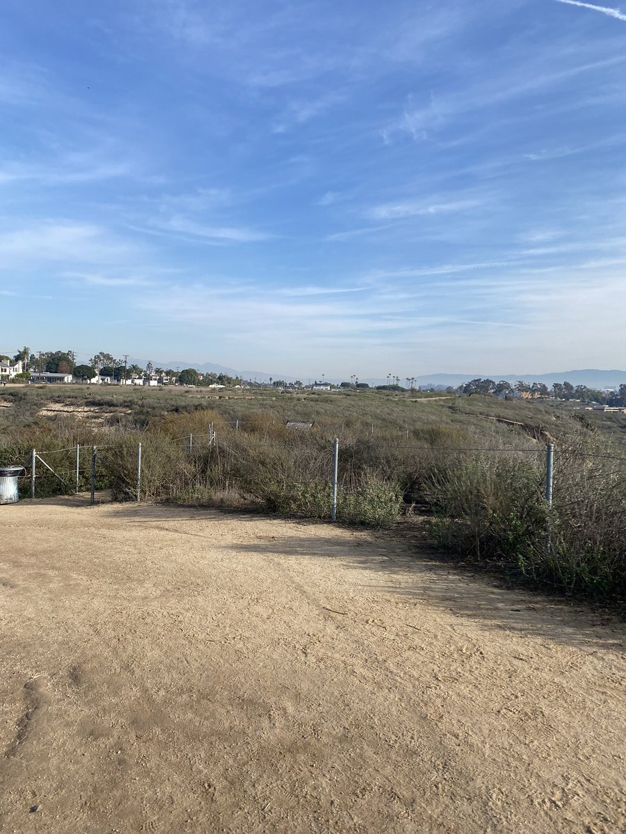 19Maya19's tweet image. El amor de los #Rauwliers es tan grande y genuino que llega asta Santa Ana, Estados Unidos 🇺🇸@rauwalejandro @rauwfanscdmx