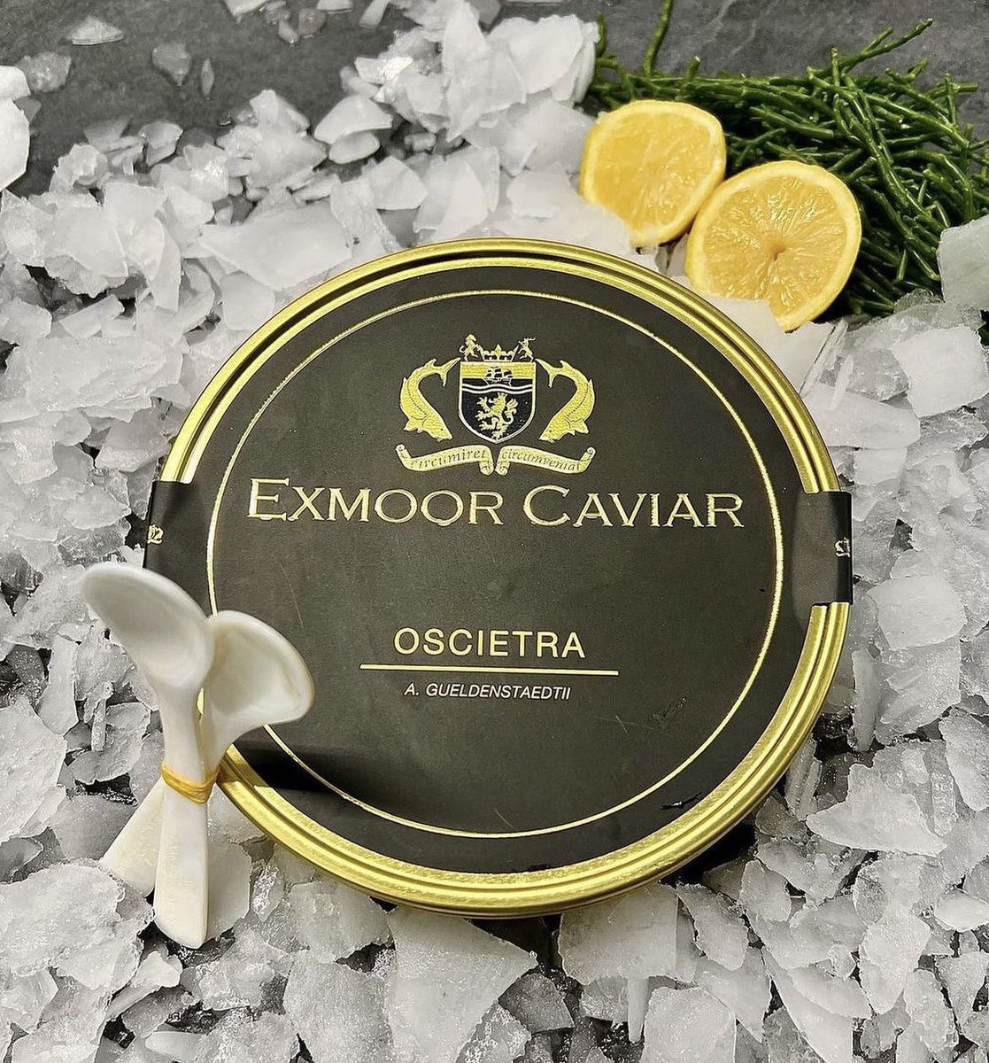 Tony Wilson tweet media