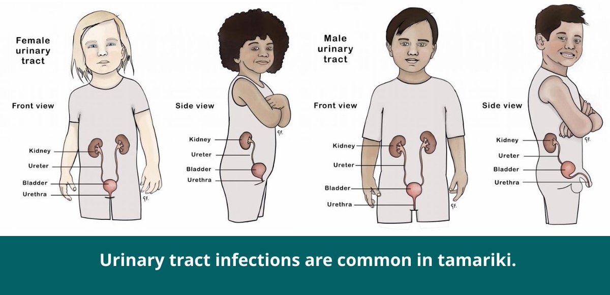 KidsHealth NZ tweet media