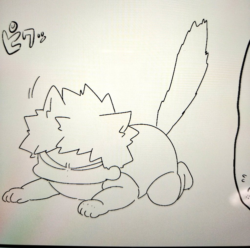 落とさなければ🐈💥本出ます