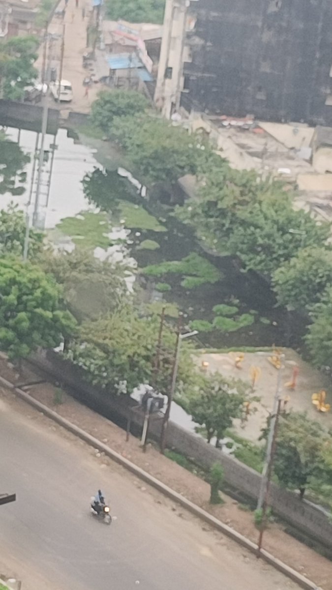 abhaypandey01's tweet photo. @noida_authority @CeoNoida @PankajSinghBJP @TOINoida Today Dated 4 August 2023

Tikona Park Sector 121 Noida
No improvement 
@CeoNoida @NoiseyMusic https://t.co/sn3LdVDkfE