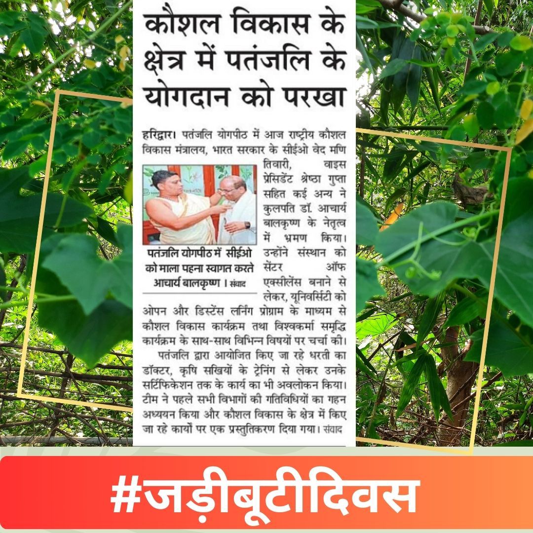 anilbstfbd's tweet image. #जड़ीबूटीदिवस