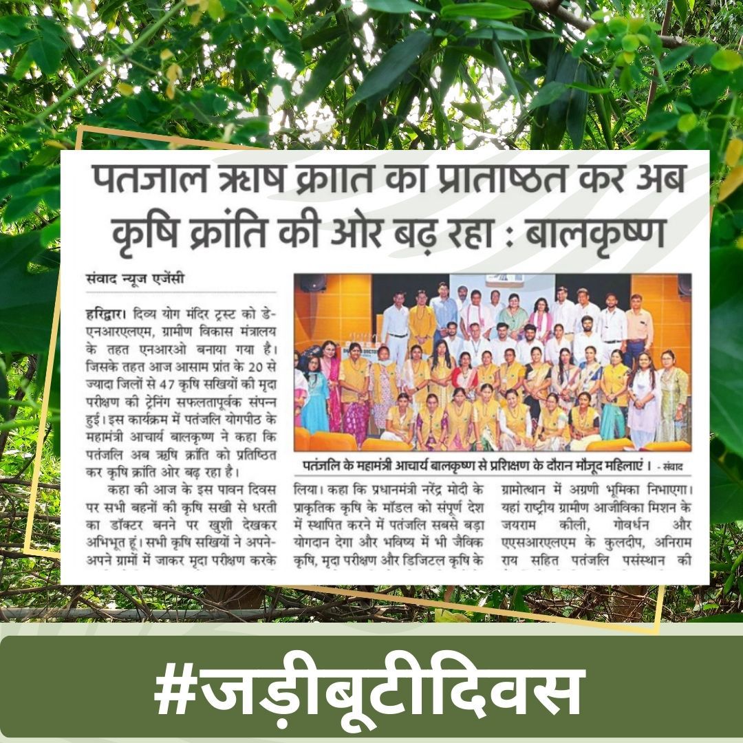 anilbstfbd's tweet image. आचार्य बालकृष्ण जी आपको जन्मदिन की हार्दिक बधाई एवं शुभकामनाएं।@Ach_Balkrishna
#जड़ीबूटीदिवस