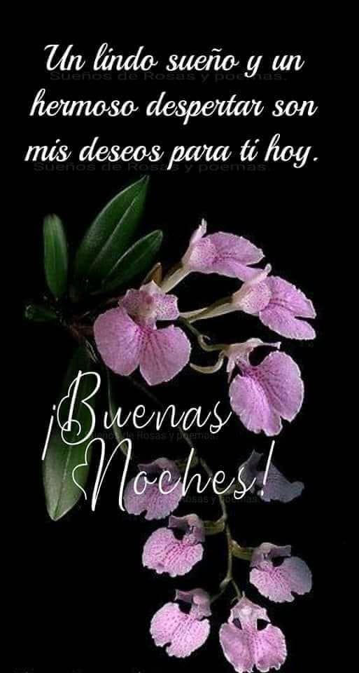 Buenas noches feliz descanso