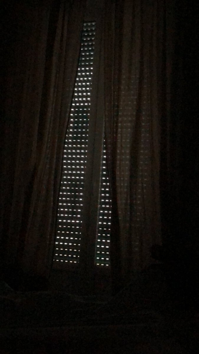 Rebecca Sowray tweet media