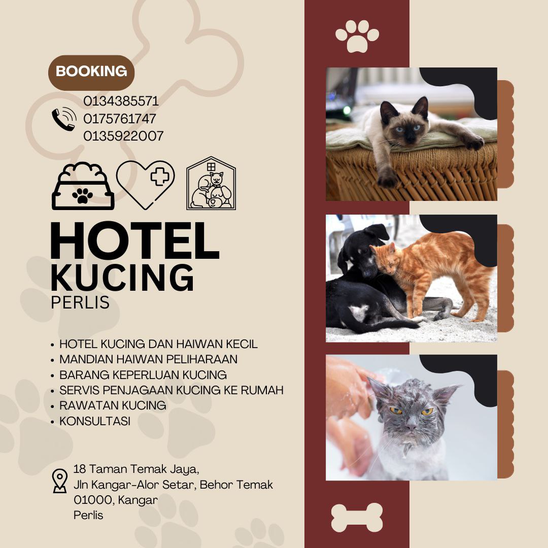 Schatz❤️ tweet media