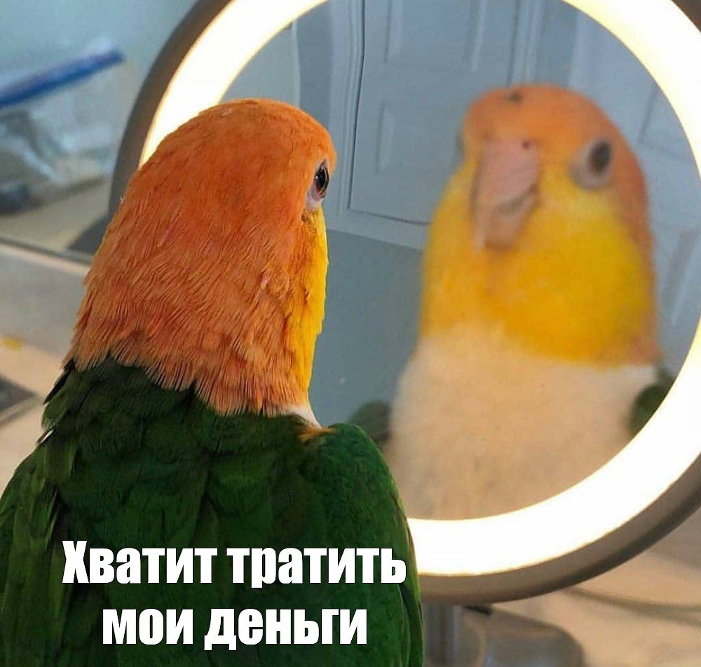 _qinglong's tweet photo. Покупал комп, чтобы встал 3 ведьмак
Апгрейдил видяху под шэдоулендс

Балдурс гейт 3: выходит https://t.co/4CTQMAhN5z