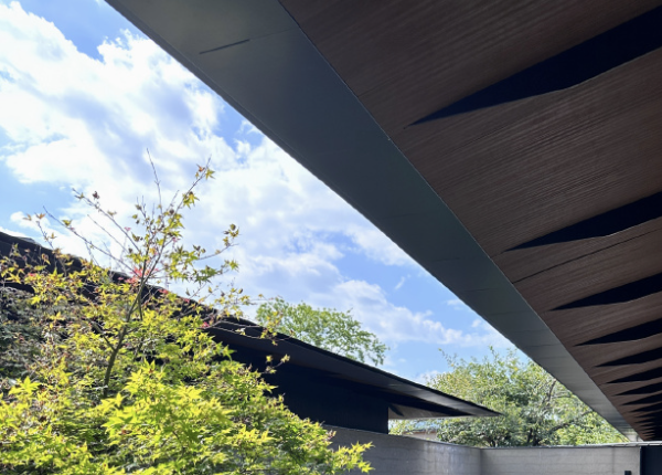 From a distance, it was already stunning 🍃☁️
Enter the realistic version of Dwelling in the Fuchun Mountains