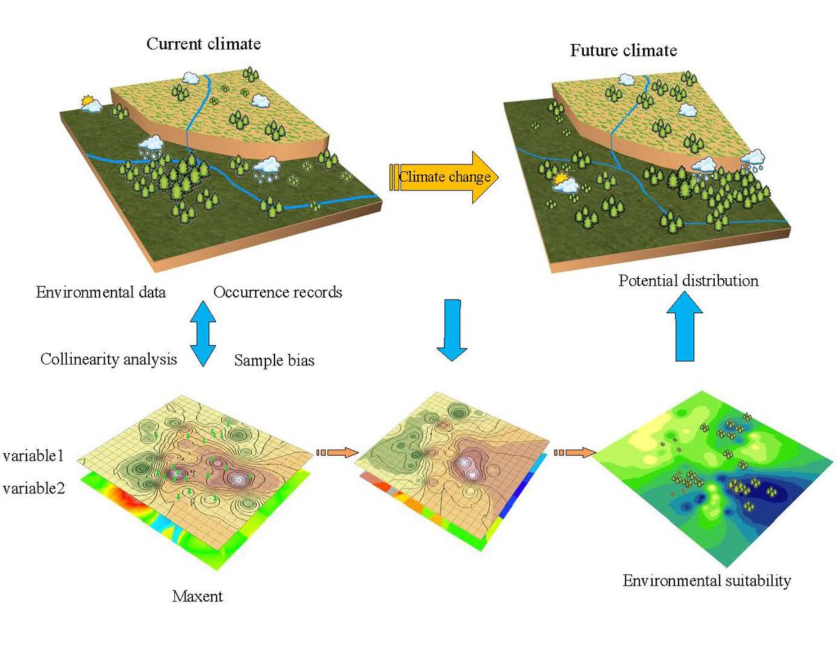 Forests_MDPI's tweet photo. 🌲#Forests #HighlyAccessedPapers in 2022 Series
"The Current and Future Potential Geographical Distribution and Evolution Process of Catalpa bungei in China", by Shengqi Jian et al.
📚 https://t.co/063YRo8kMT
📌 #Maxent #climatechange #CatalpabungeiCAMey #potentialdistribution https://t.co/yqJg6KcXO7