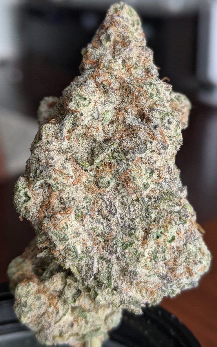 Ontario Micro Growers tweet media