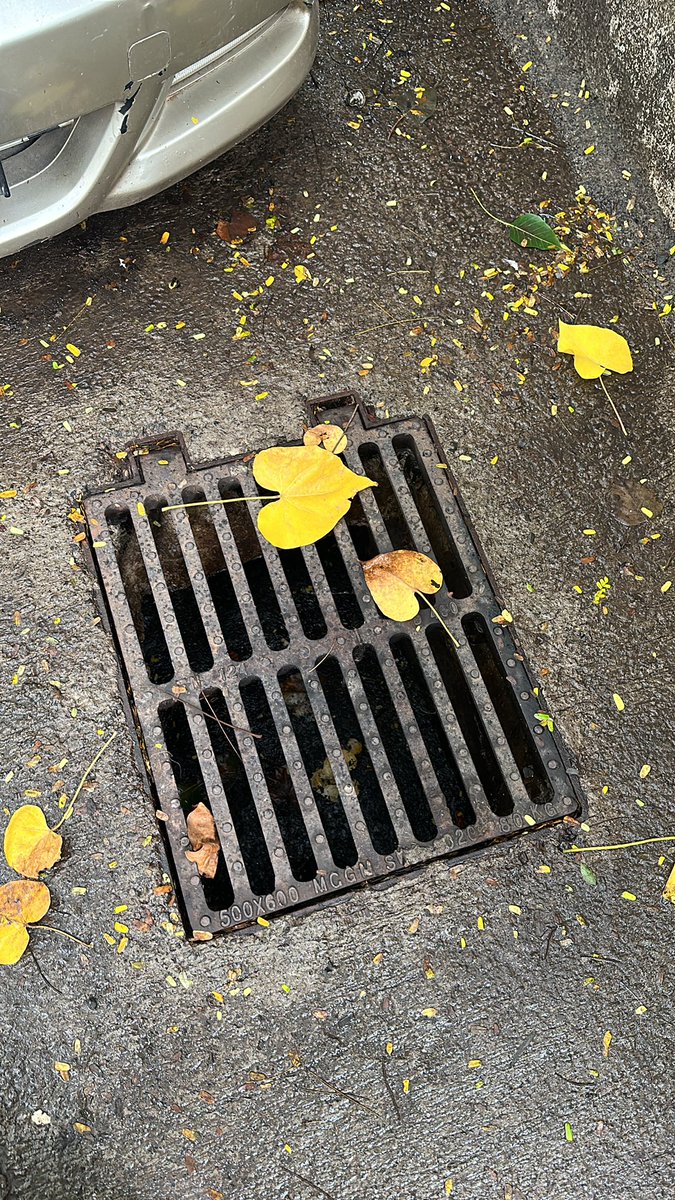 harshvora97's tweet photo. @mybmc @mybmcWardN @MCGM_BMC @bmcmumbai this gutter is stinking very badly since last few days. Requesting immediate action. 
Location :- Mani Bhuvan Building, Old Maneklal Estate, Near Telephone Exchange, Ghatkopar - West https://t.co/BiQWp8TVu8