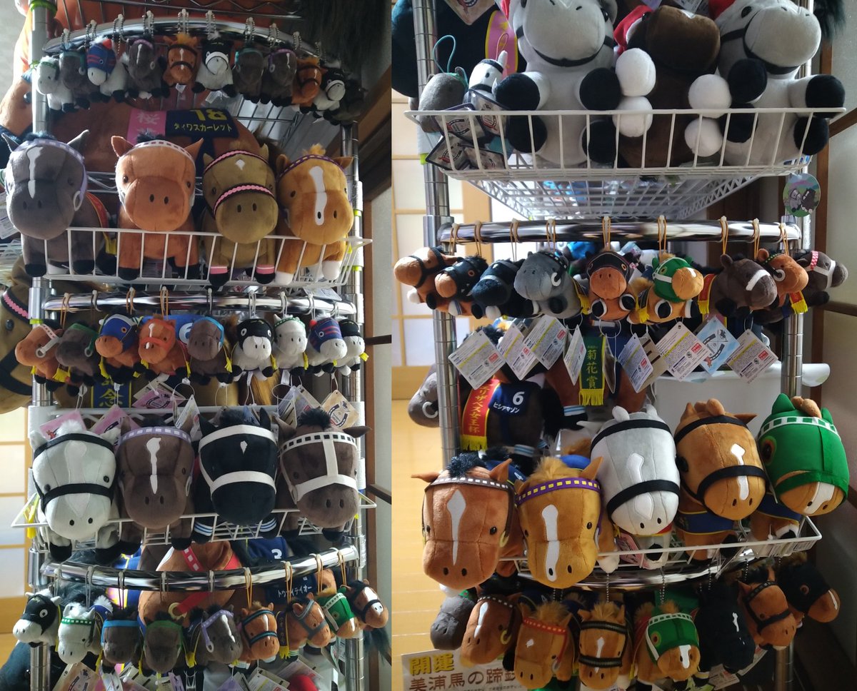 苦節3ヶ月、やっとなんとかぬいぐるみの整理終わりました！ 基本好き