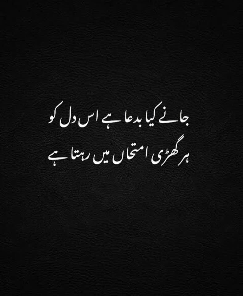 MundaFsd1's tweet photo. https://t.co/FR9cPZcUrF