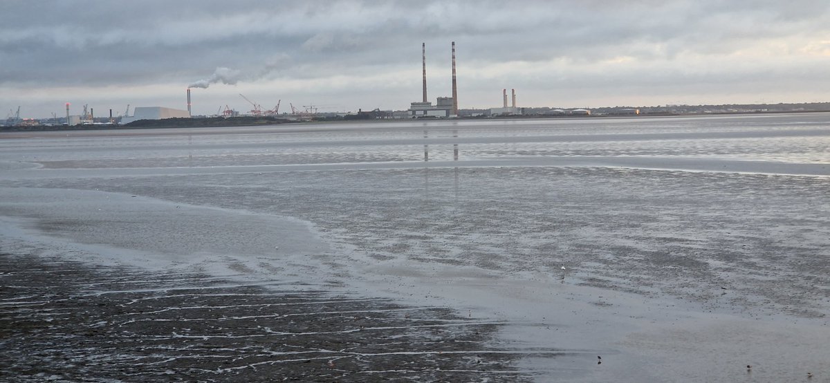 Patrick Darcy (@patrickdarcy19) on Twitter photo 